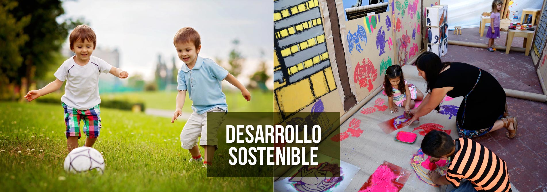Desarrollo Sostenible