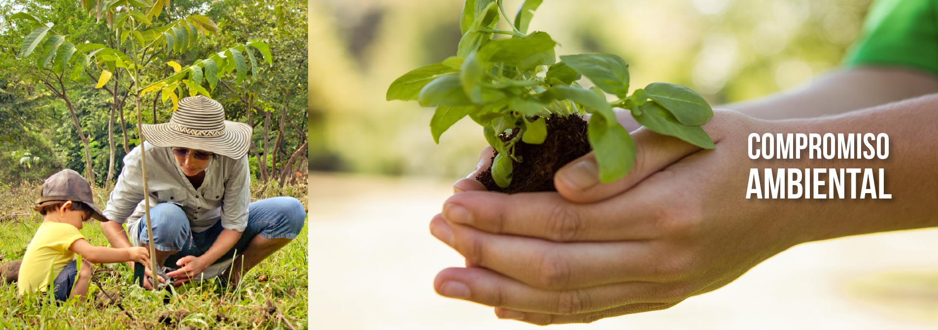 Compromiso Ambiental